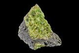 Peridot in Basalt - Arizona #154379-1